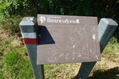 P1030960