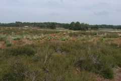 PHOTO-2021-06-20-13-36-00