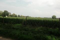 CIMG8940