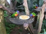 Vlindertuin