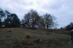 CIMG6452